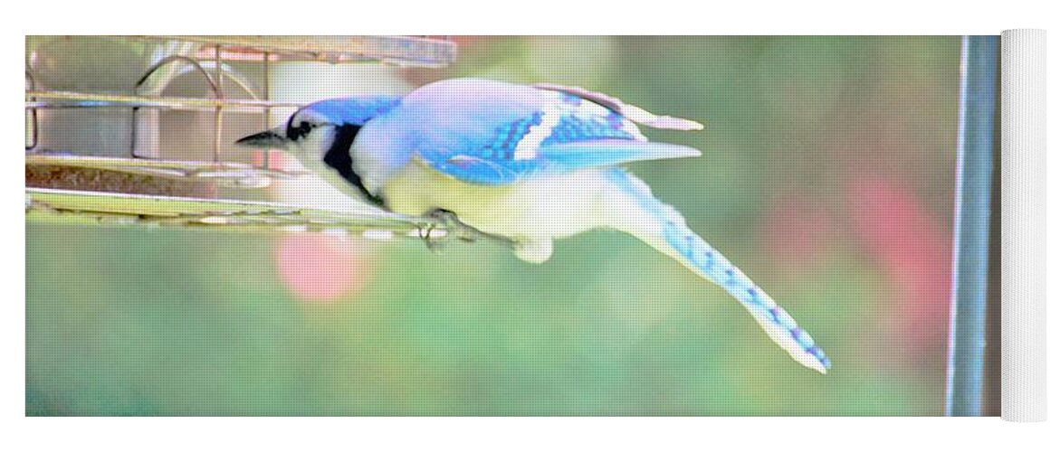 Blue Jay Yoga Mat featuring the photograph Think it Through by Merle Grenz
