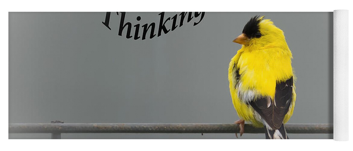 Thinking Of You Yoga Mat featuring the photograph Thinking of you - American Goldfinch by Holden The Moment