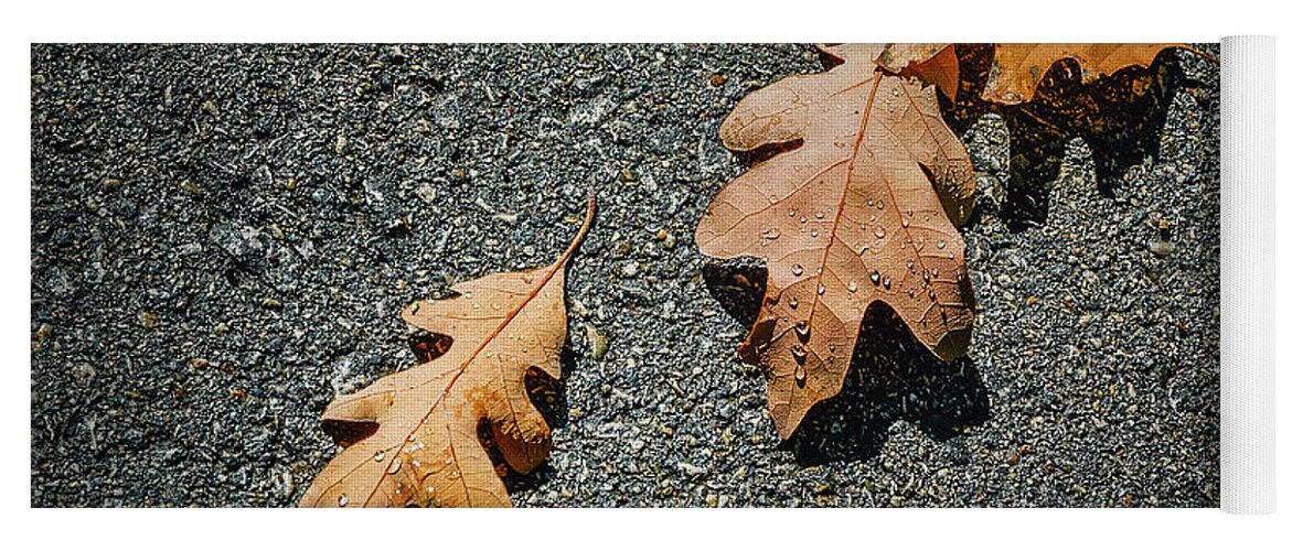 Oak Leaf Yoga Mat featuring the photograph Three Oak Leaves by Scott Norris