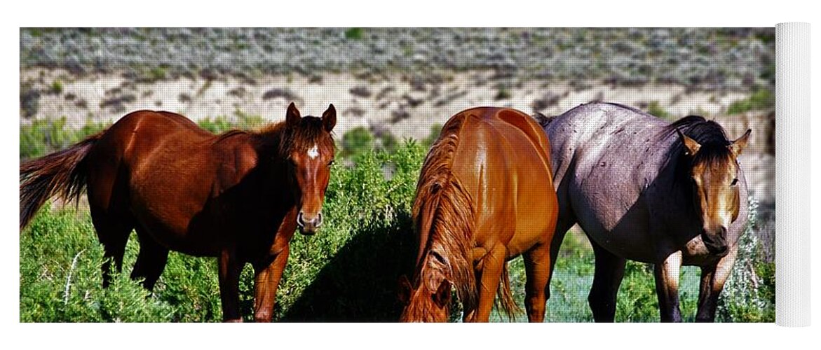 Horses Yoga Mat featuring the photograph Three Together by Merle Grenz