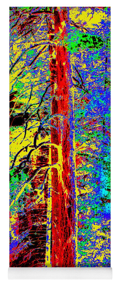 Oak Creek Canyon Yoga Mat featuring the digital art Three Trees of Oak Creek Canyon II by Joe Hoover