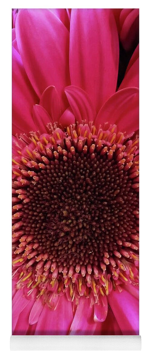 Flower Yoga Mat featuring the photograph Tickled Pink by Donna Blackhall