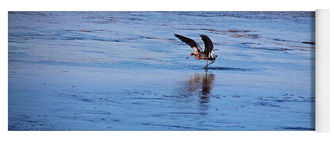 Heron Yoga Mat featuring the photograph Tidal Toe Tappin by Michiale Schneider