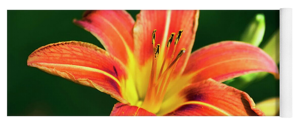 Lily Yoga Mat featuring the photograph Tiger Lily by Christina Rollo