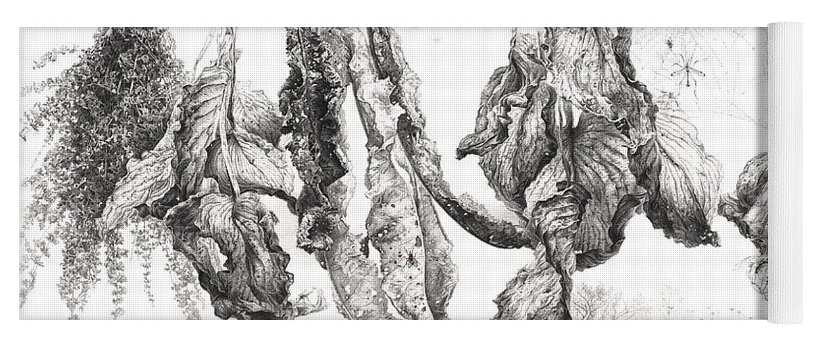 Russian Artists New Wave Yoga Mat featuring the drawing Time of Life. Series Dry Leaves by Sergey Gusarin