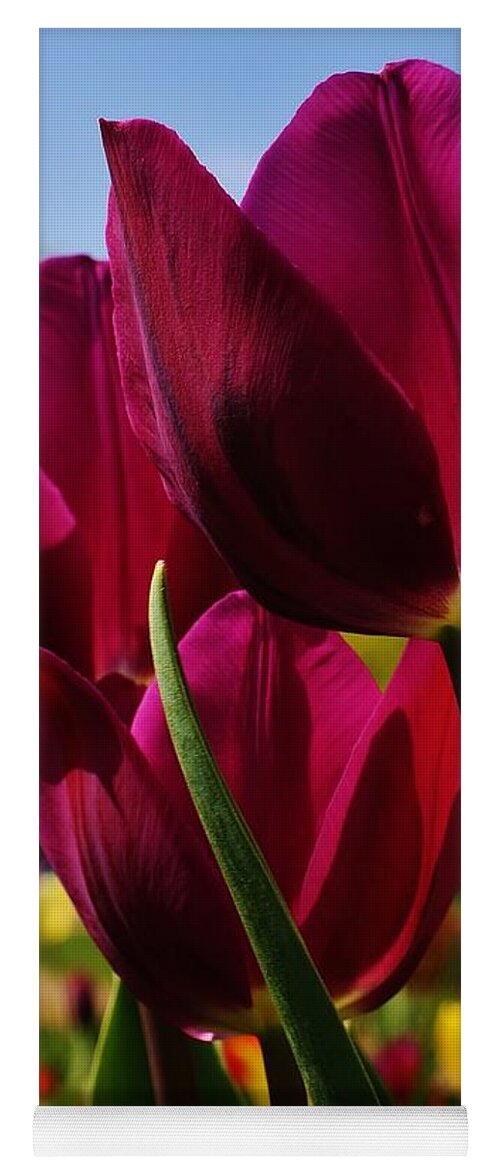 Flora Yoga Mat featuring the photograph Tip Toe through the Tulips by Bruce Bley