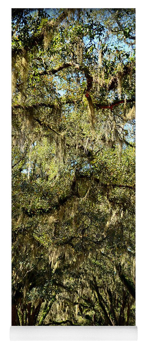 Live Yoga Mat featuring the photograph Towering Canopy by Carla Parris