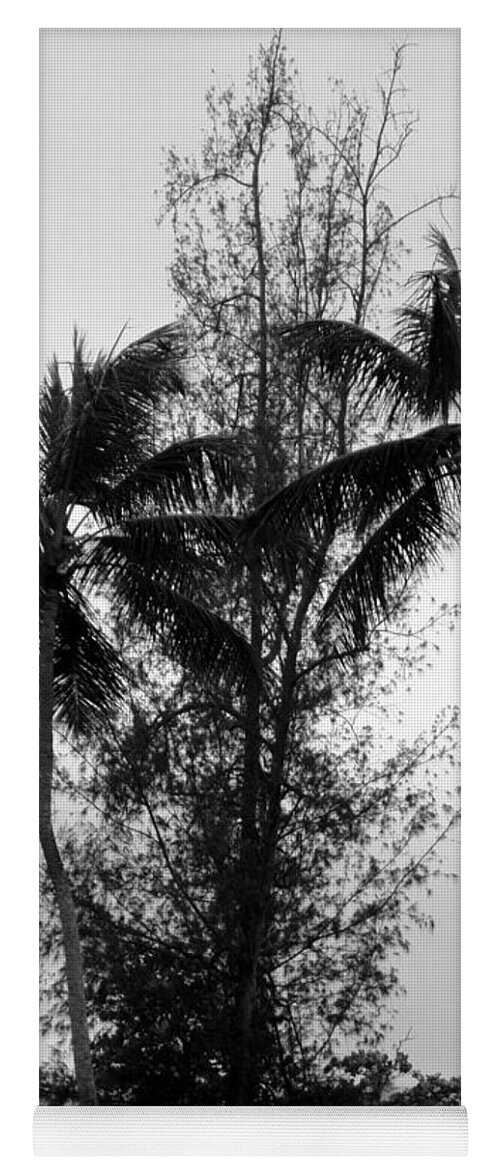 Palms Yoga Mat featuring the photograph Tree Between the Trees by Deborah Crew-Johnson