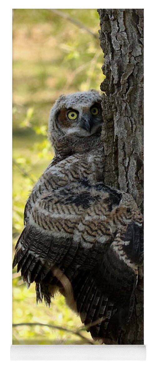 Great Horned Owl Yoga Mat featuring the photograph Tree Hugger by Heather King