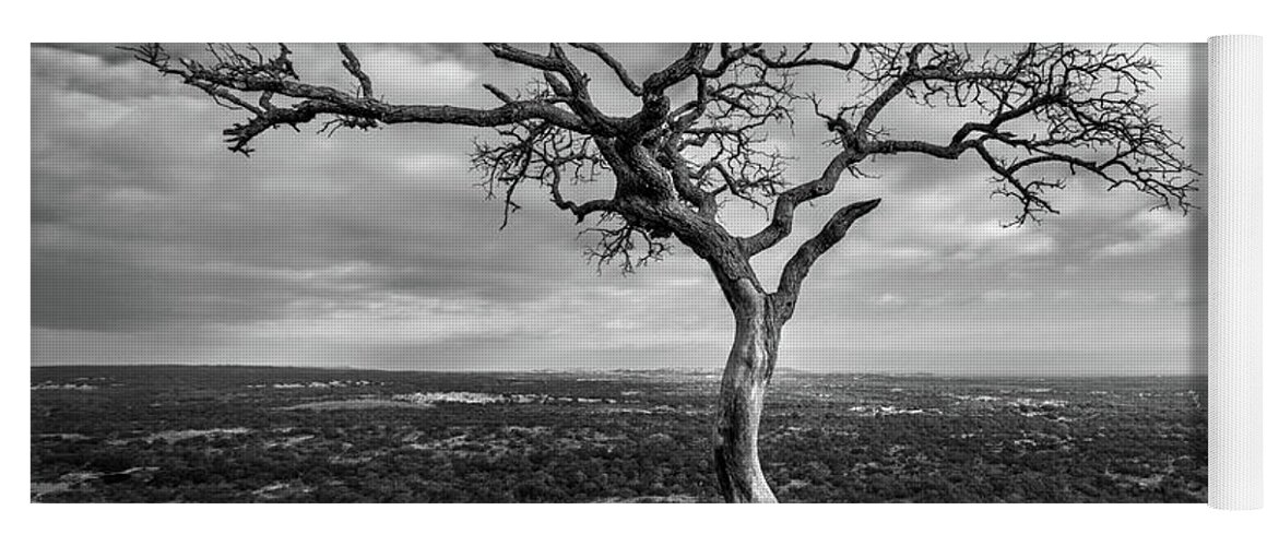 Tree Yoga Mat featuring the photograph Tree On Enchanted Rock in Black And White by Todd Aaron