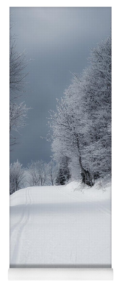 Miguel Yoga Mat featuring the photograph Trees Hills and Snow by Miguel Winterpacht