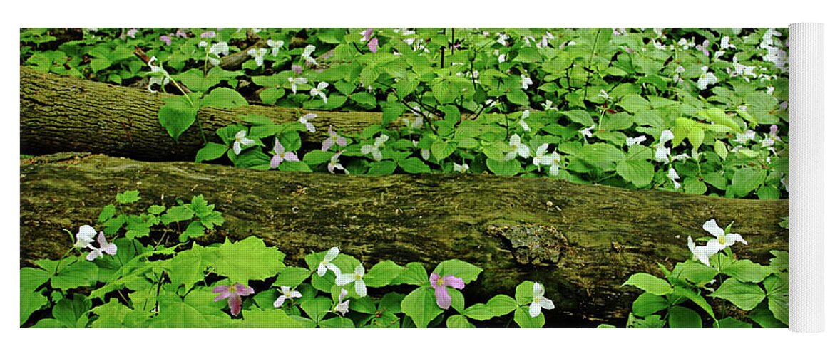 Trilliums Yoga Mat featuring the photograph Trillium Woods V by Debbie Oppermann
