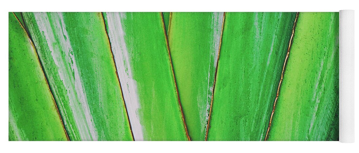 Plant Yoga Mat featuring the photograph Tropical Abstract by Scott Pellegrin