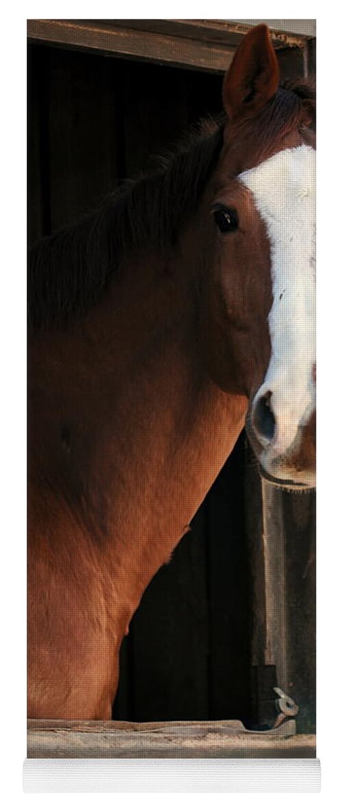 Thoroughbred Yoga Mat featuring the photograph T's Window by Angela Rath