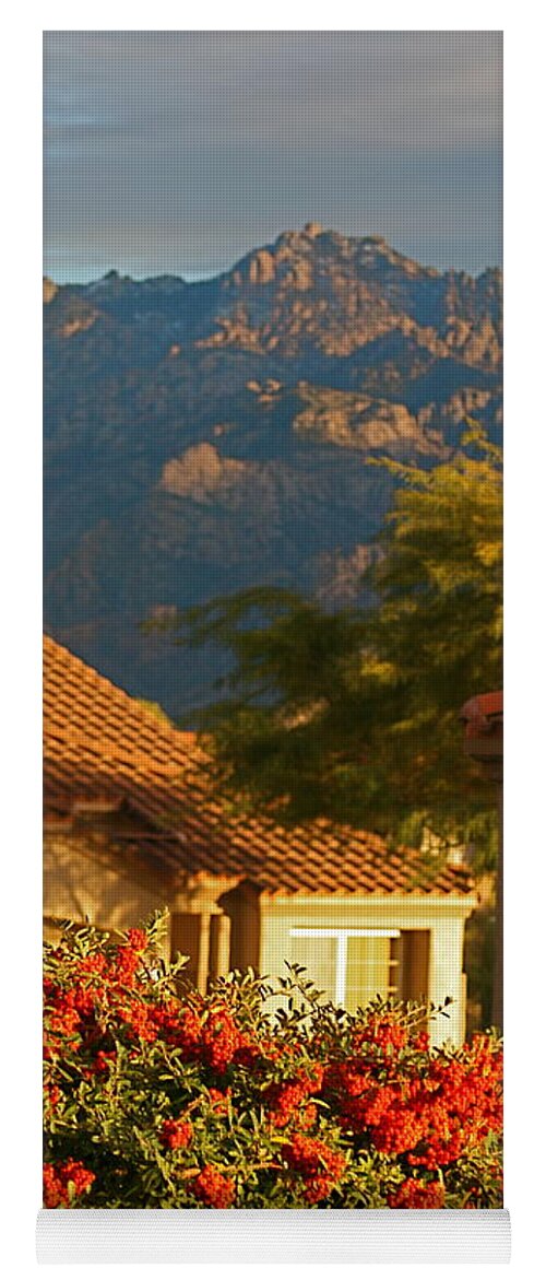 Mountains Yoga Mat featuring the photograph Tucson Beauty by Nadine Rippelmeyer