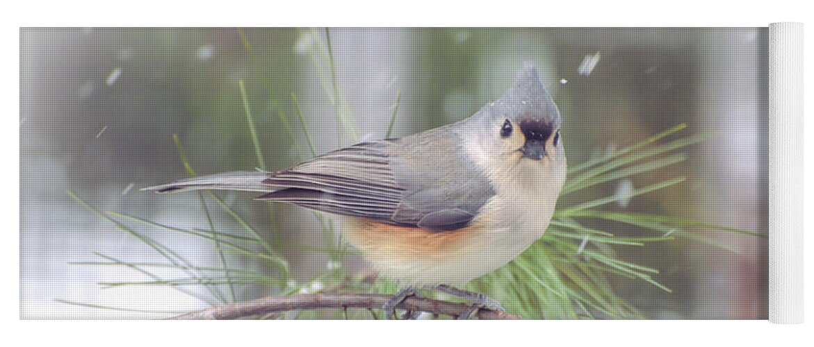 Tufted Titmouse Yoga Mat featuring the photograph Tufted Titmouse - A Winter Delight by Kerri Farley