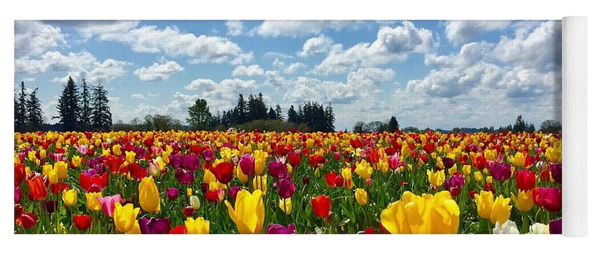 Tulip Yoga Mat featuring the photograph Tulip Field by Brian Eberly