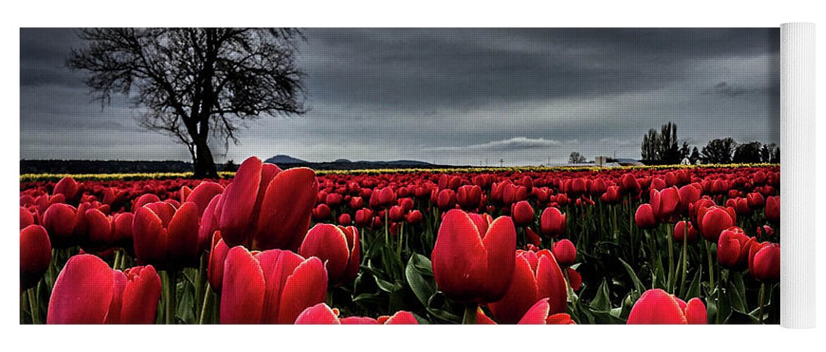 Skagit Yoga Mat featuring the photograph Tulip Fields by Steph Gabler