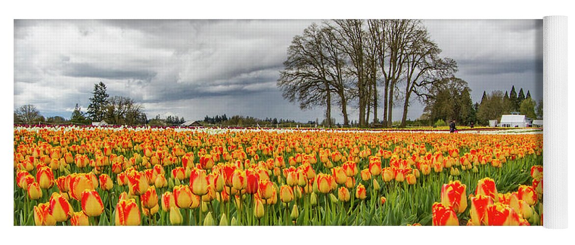 Jean Noren Yoga Mat featuring the photograph Tulip Rows by Jean Noren