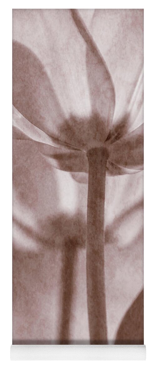 Tulips Yoga Mat featuring the photograph Tulip Transparency II by Leda Robertson