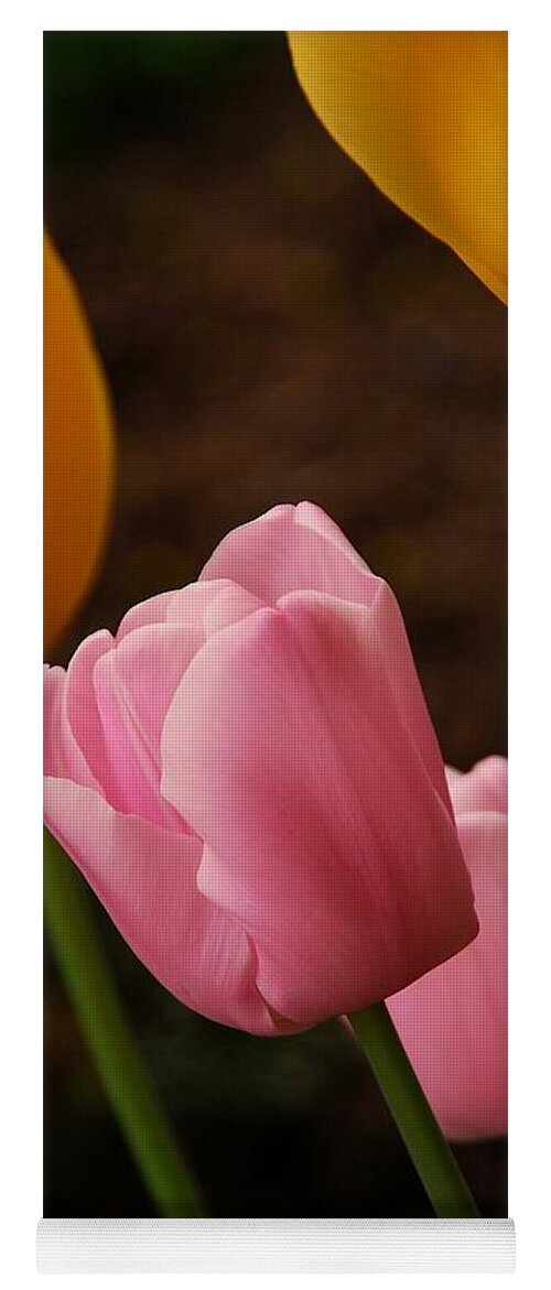 Tulips Yoga Mat featuring the photograph Tulips by Angie Tirado