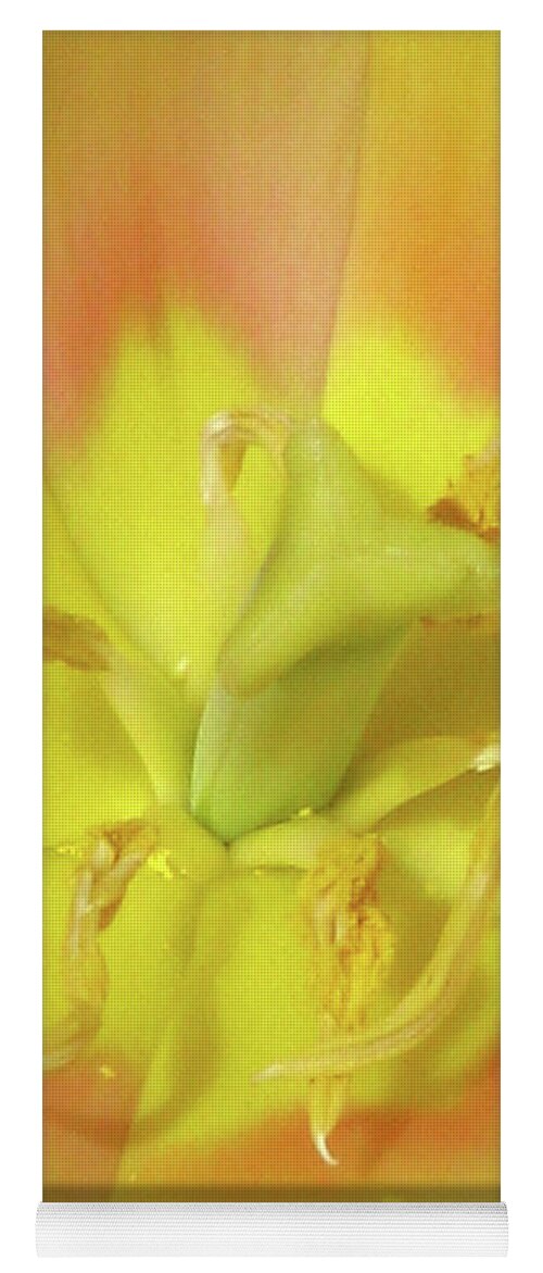 Tulip Yoga Mat featuring the photograph Tulips - Beauty In Bloom 22 by Pamela Critchlow
