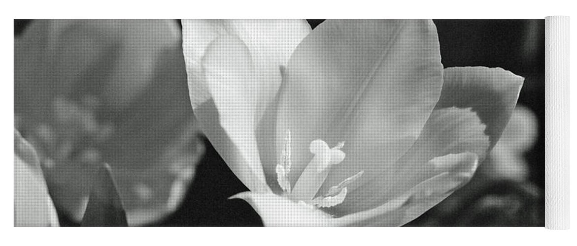 Tulip Yoga Mat featuring the photograph Tulips - Beauty In Bloom - BW Infrared SFX 09 by Pamela Critchlow