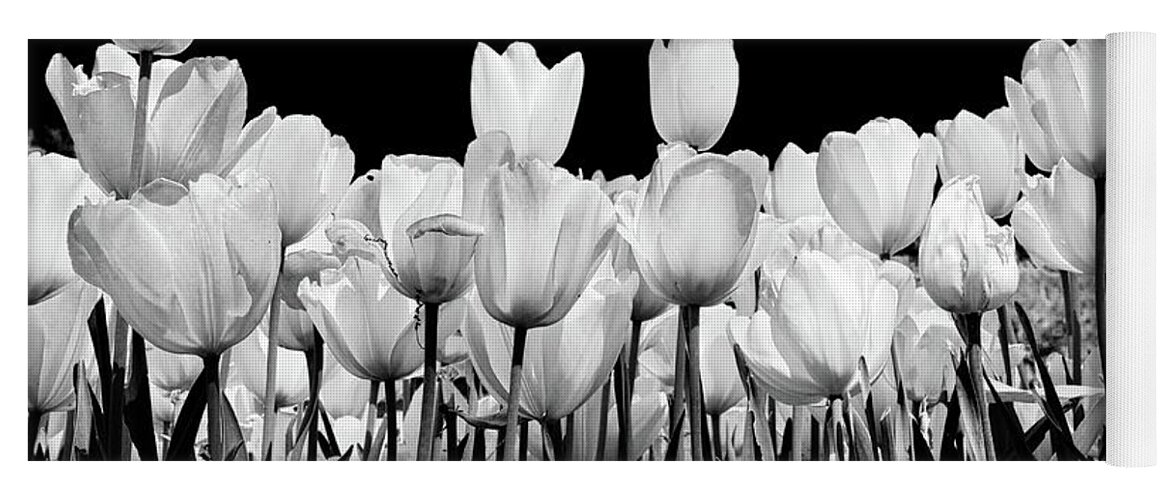 Tulips Yoga Mat featuring the photograph tulips in Black and white by John Babis