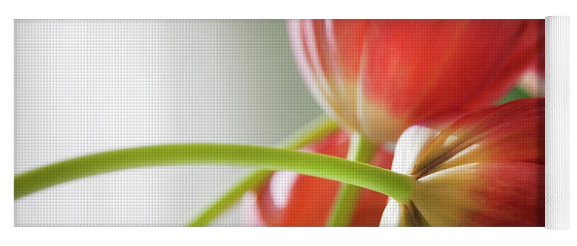Floral Yoga Mat featuring the photograph Tulips In The Morning by Theresa Tahara