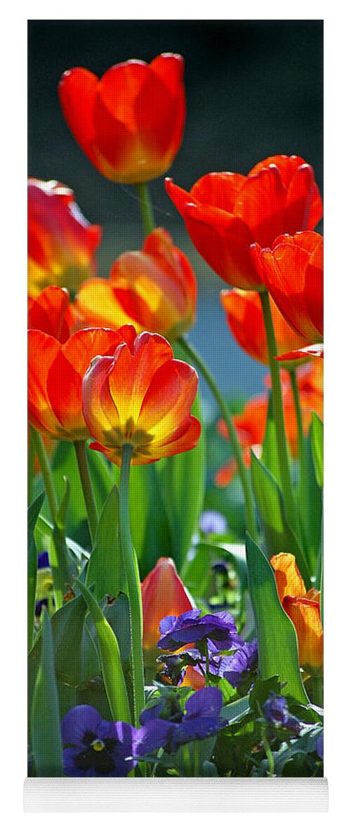 Flowers Yoga Mat featuring the photograph Tulips by Robert Meanor