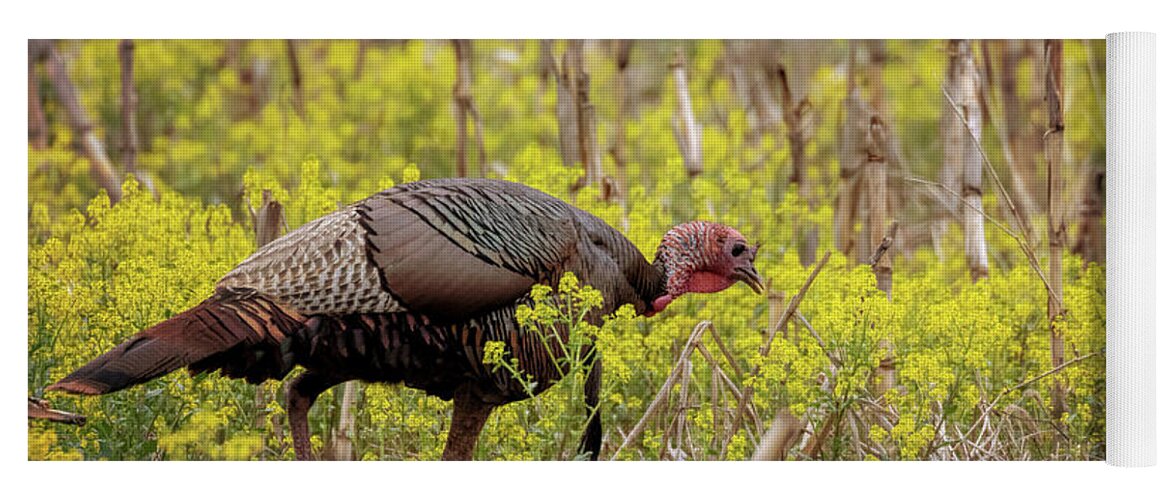 Turkey Yoga Mat featuring the photograph Turkey in the Goldenrod #1 by Susan Rissi Tregoning