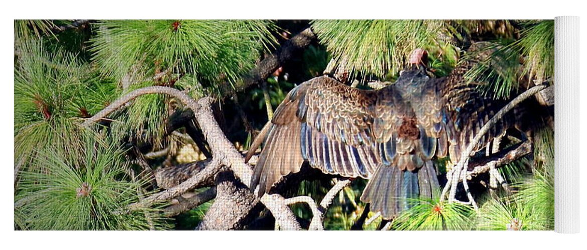 Turkey-vulture Yoga Mat featuring the photograph Turkey Vulture Spread by Joyce Dickens