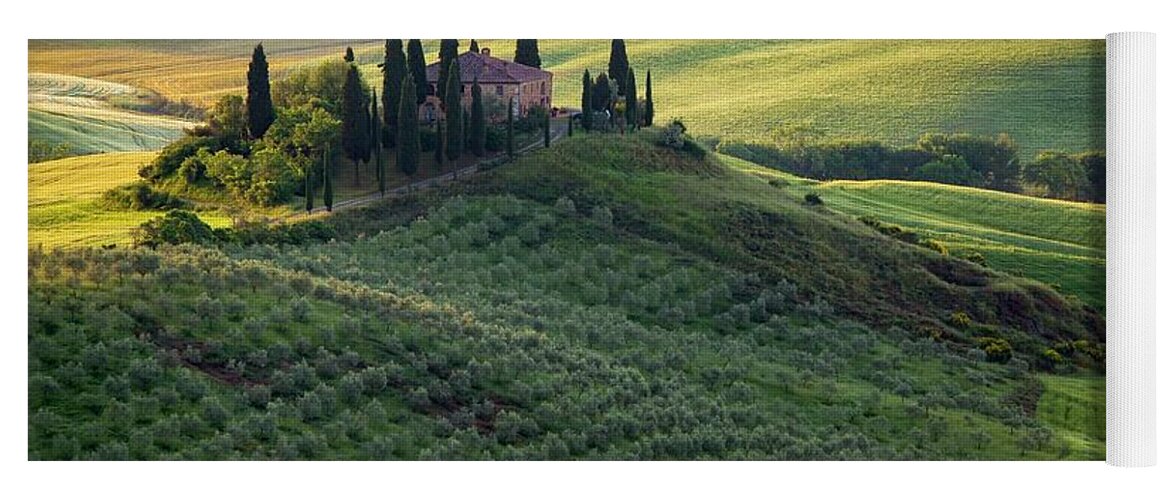 European Art Yoga Mat featuring the photograph Green Hills of Val De L' Orca Tuscan Villa by Harriet Feagin
