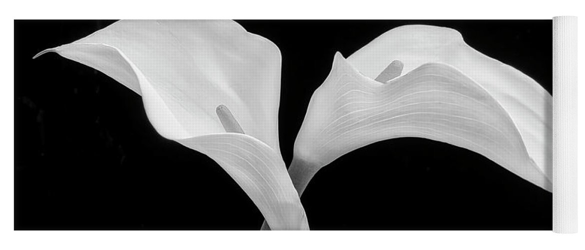 Graphic Yoga Mat featuring the photograph Two Beautiful Calla Lilies Black And White by Garry Gay