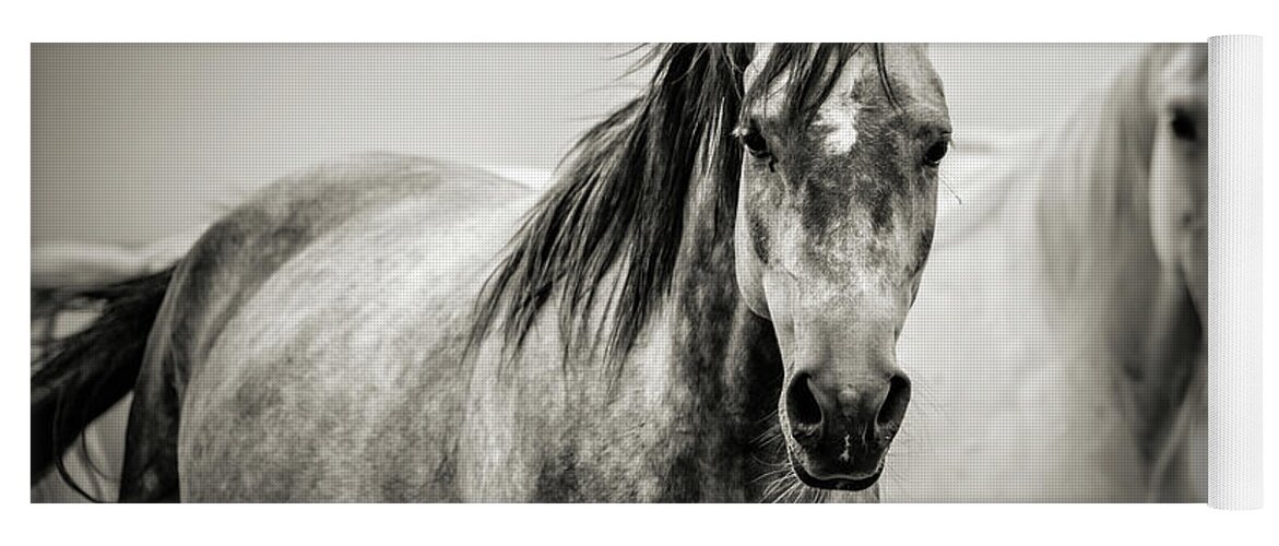 Horse Yoga Mat featuring the photograph Two Horses in Black and White by Dimitar Hristov