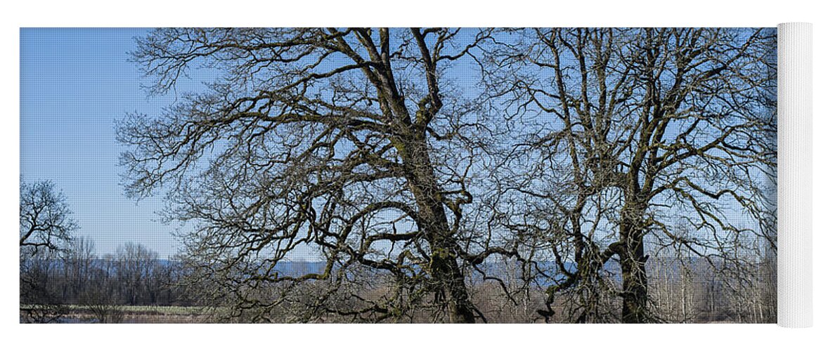 Landscape Yoga Mat featuring the photograph Two Oaks by Robert Potts