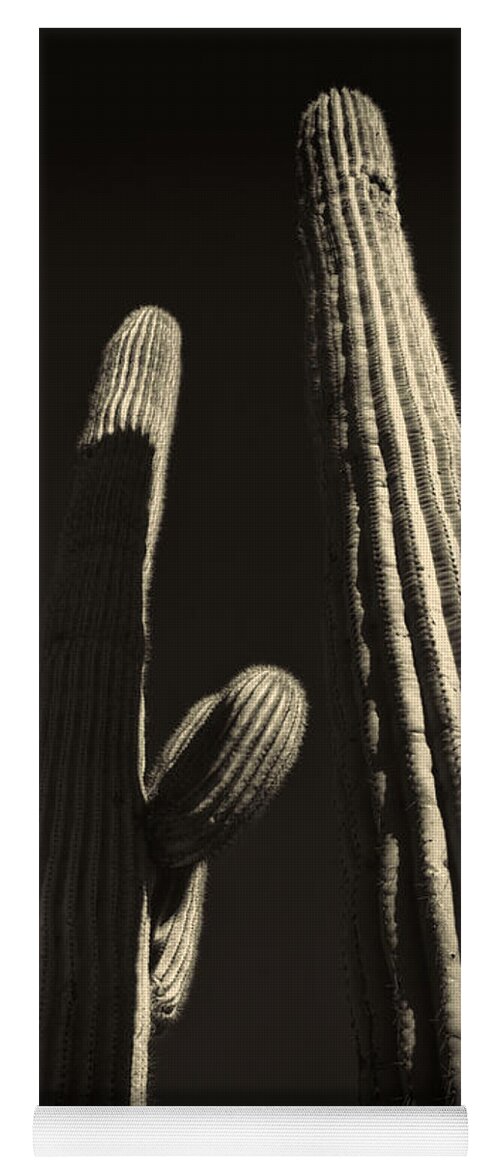 Arizona Yoga Mat featuring the photograph Two Tall Saguaros by Roger Passman