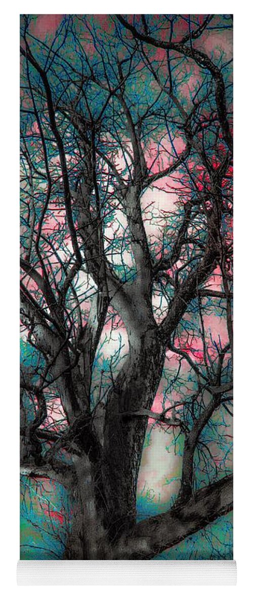 Tree Yoga Mat featuring the photograph Uncommonly Kool by Abbie Loyd Kern