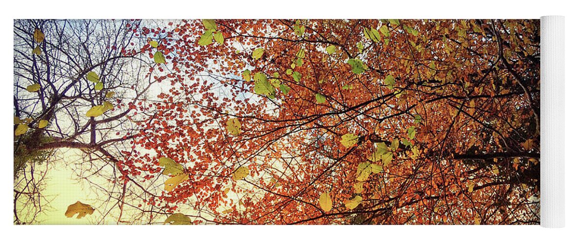 Autumn Yoga Mat featuring the photograph Under An Autumn Sky - No.2 by No Alphabet