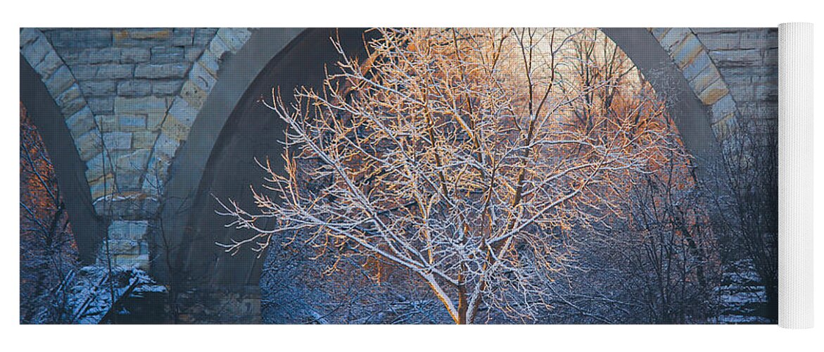 Light Yoga Mat featuring the photograph Under the Bridge, A Winter's Song by Viviana Nadowski