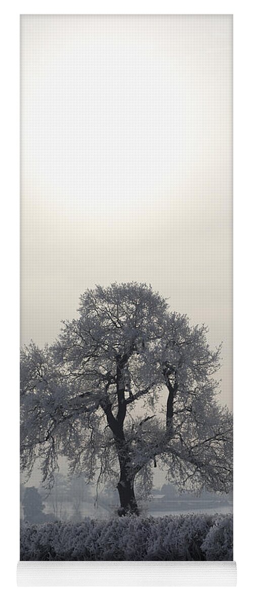 Winter Yoga Mat featuring the photograph Under The Wintery Sky by Ang El