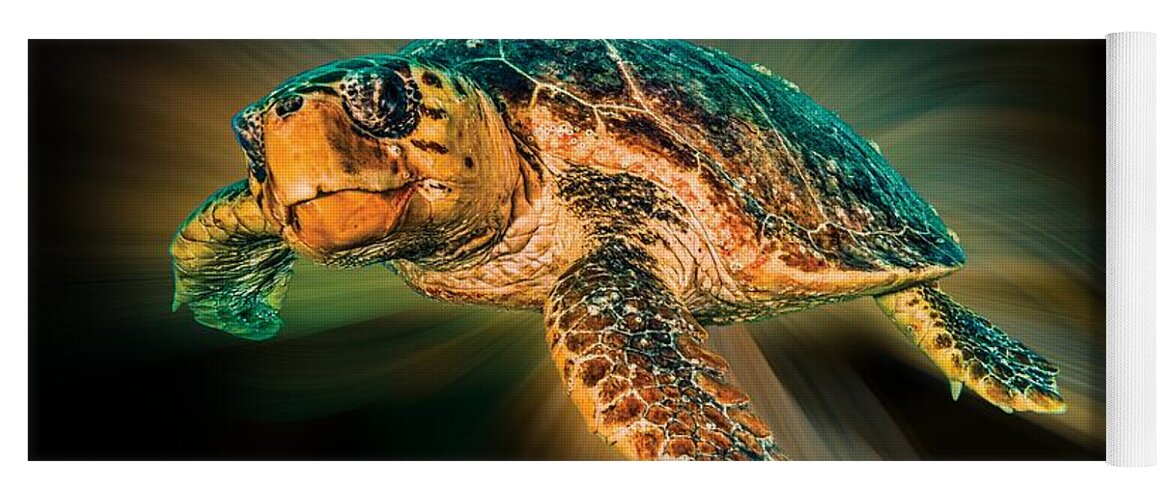 Turtle Yoga Mat featuring the photograph Undersea Turtle by Debra and Dave Vanderlaan