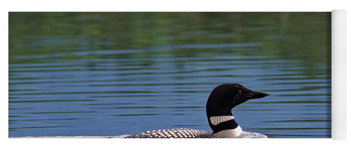 Common Loon Yoga Mat featuring the photograph Common loon on Crawford Pond, Union, Maine, USA by Kevin Shields