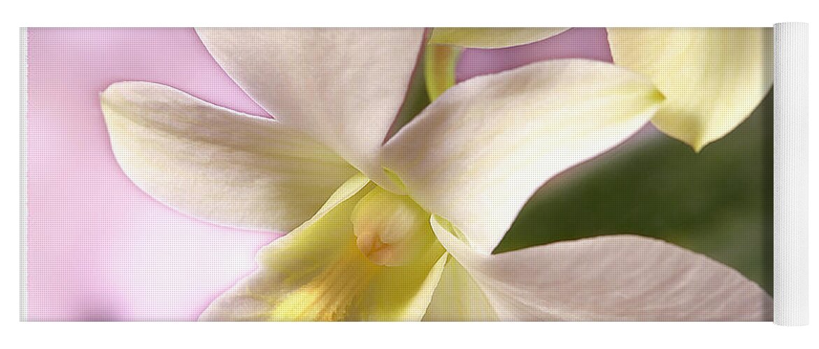 White Flower Yoga Mat featuring the photograph Unique White Orchid by Mike McGlothlen