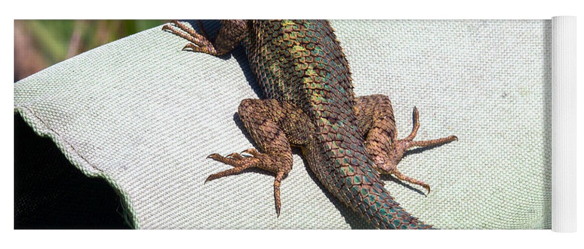 Lizard Yoga Mat featuring the photograph Up on High by Shawn Jeffries
