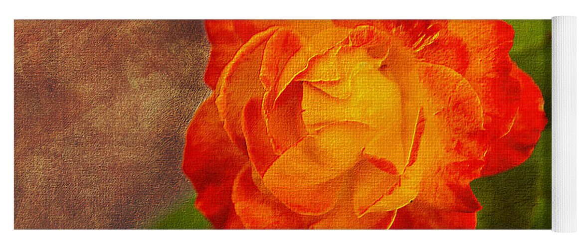 Variegated Yoga Mat featuring the photograph Variegated Beauty - Rose Floral by Barry Jones
