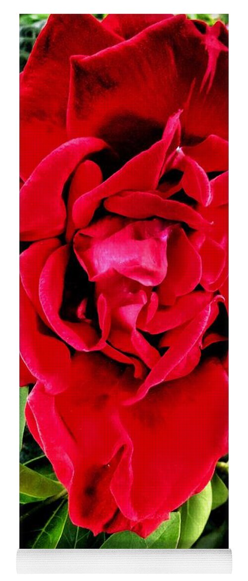 Red Rose Yoga Mat featuring the photograph Velvet Red Rose by Joan-Violet Stretch