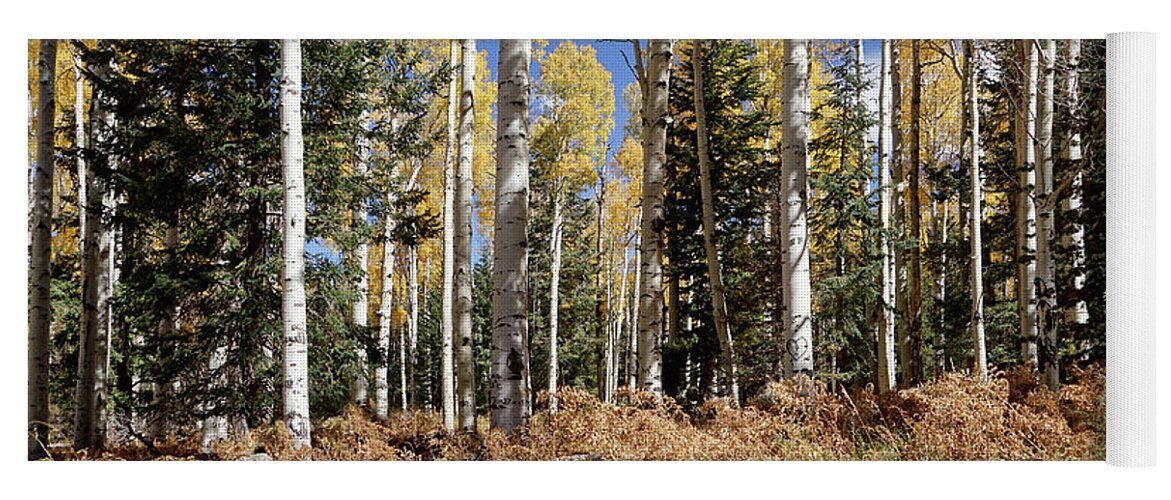 Aspen Trees Yoga Mat featuring the photograph Vibrancy of Autumn IV by Leda Robertson