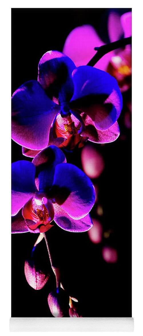 Decorative Yoga Mat featuring the photograph Vibrant Orchids by Ann Bridges