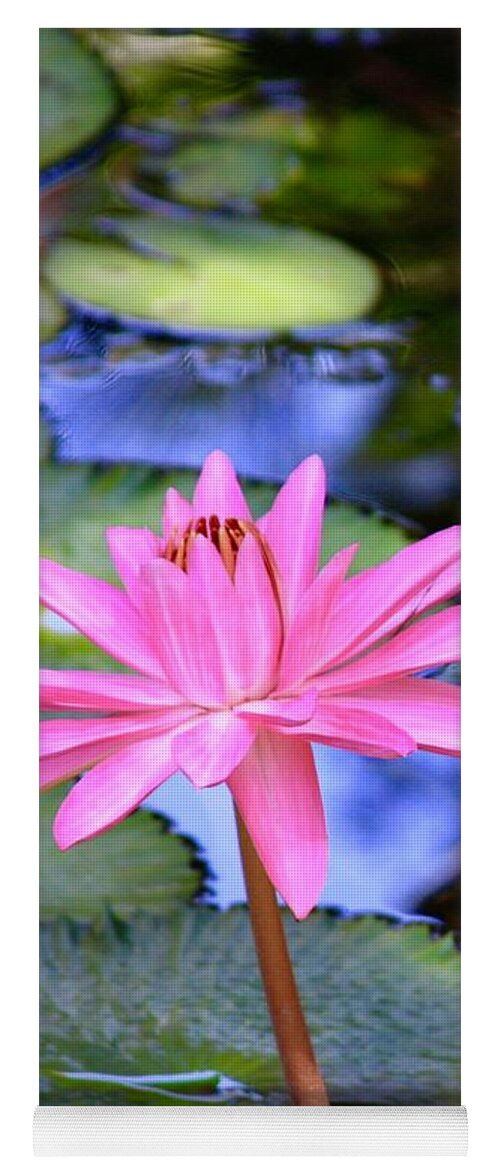 Mckee Botanical Garden Yoga Mat featuring the photograph Vibrant Pink Lotus on The Pond by M E